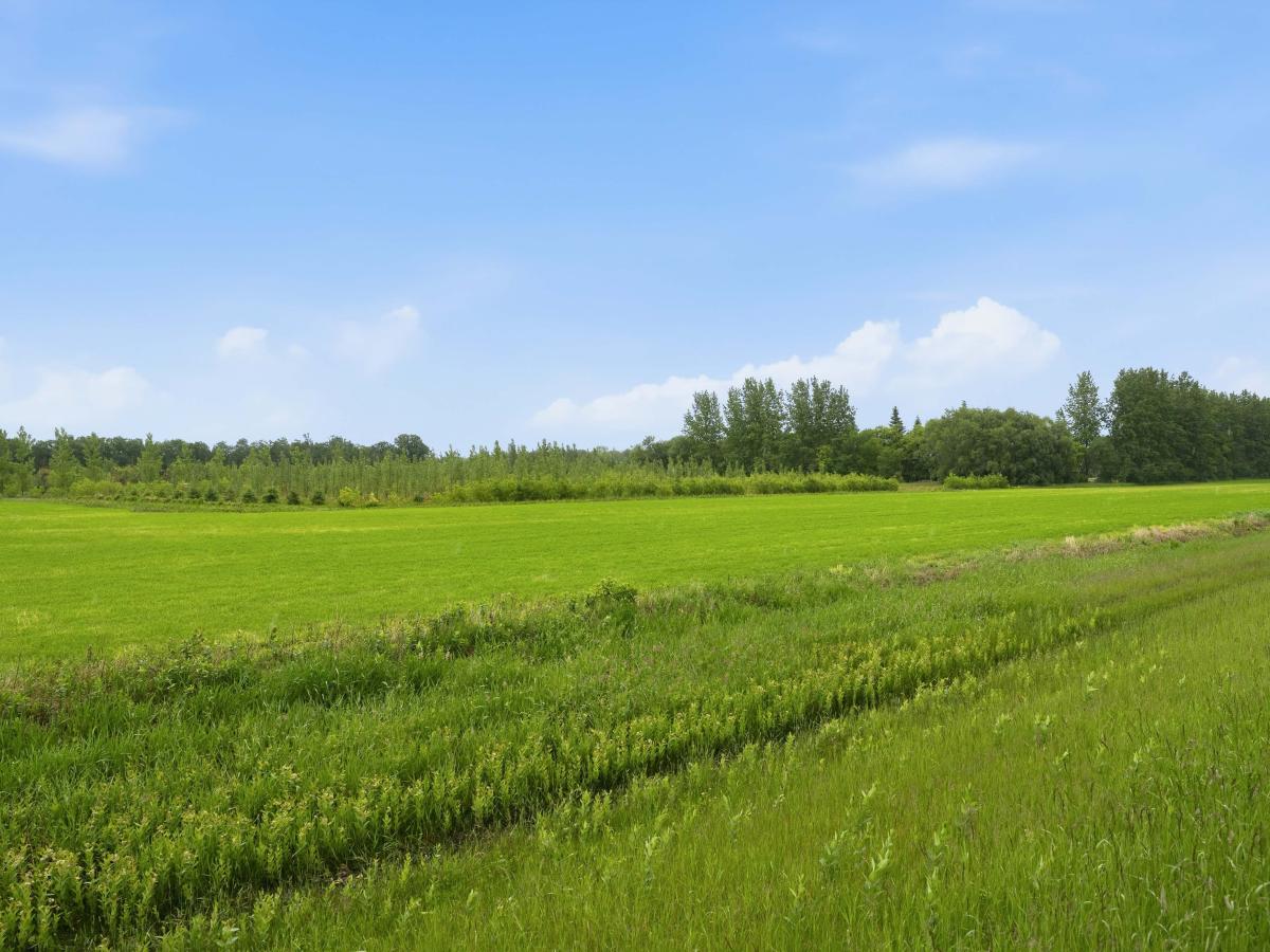 Subject Property